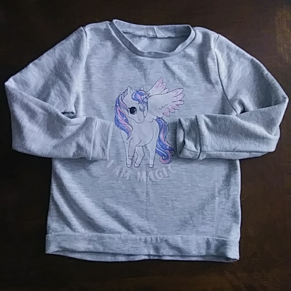 🍭🩷❄️ Pegacorn Pull Over